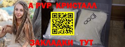 шишки Бердск