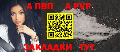 шишки Бердск