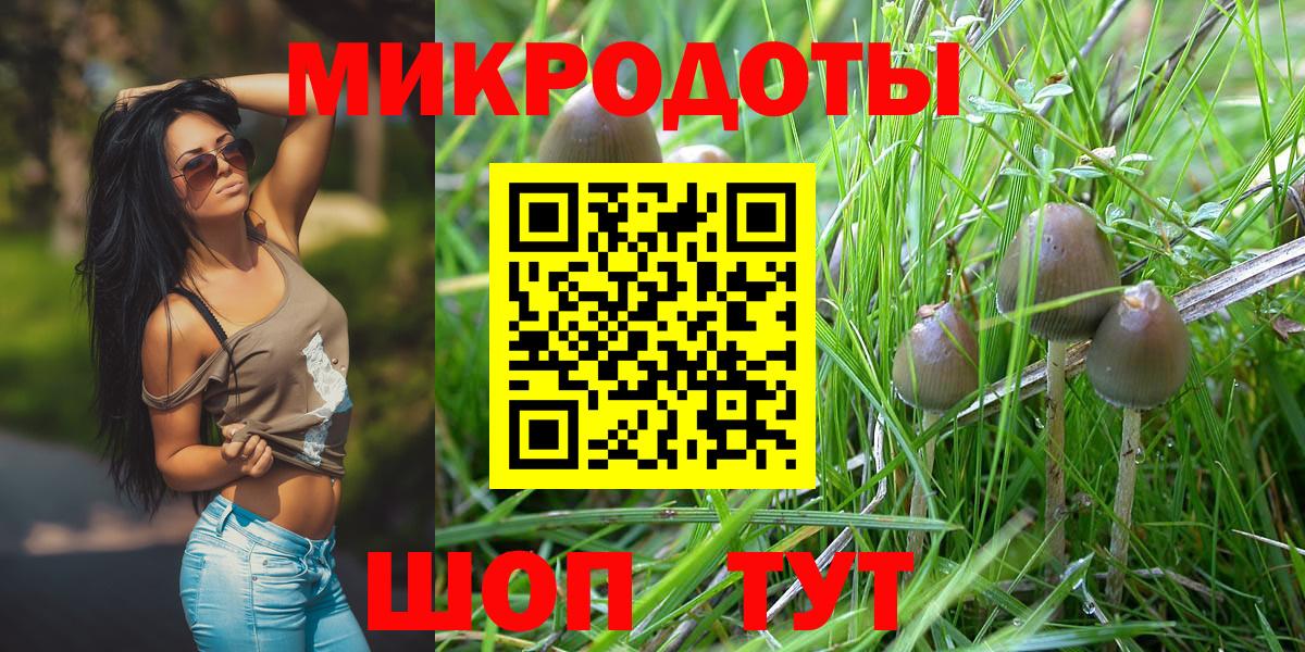 Галлюциногенные грибы ЛСД Бахчисарай