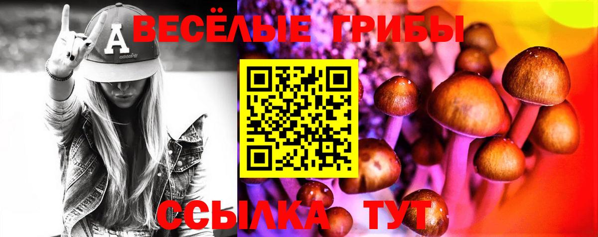где найти наркотики  Вход с VPN  Бахчисарай  Галлюциногенные грибы Psilocybe 